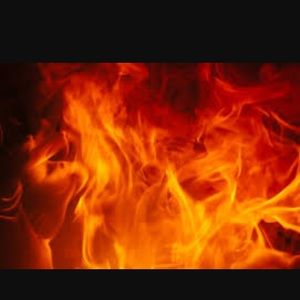 Meet your Posher, Perry